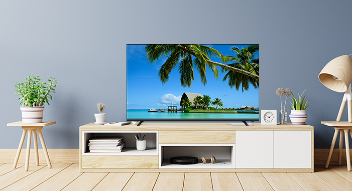 TV